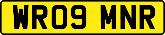 WR09MNR