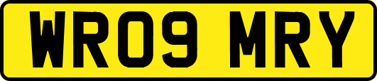 WR09MRY