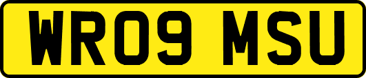 WR09MSU