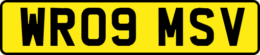 WR09MSV