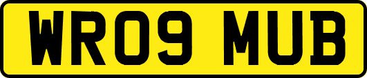 WR09MUB