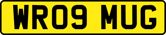 WR09MUG