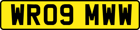 WR09MWW