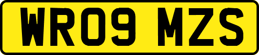 WR09MZS
