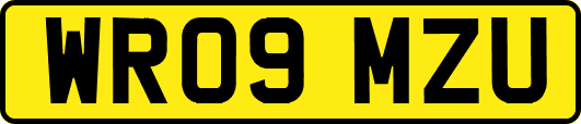 WR09MZU