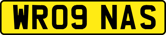 WR09NAS