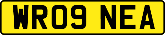 WR09NEA