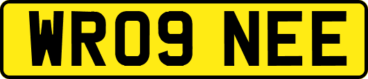 WR09NEE