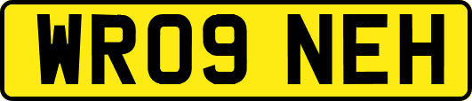 WR09NEH