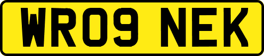 WR09NEK