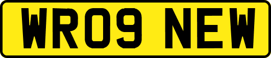 WR09NEW
