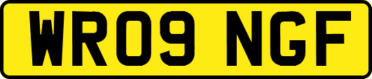 WR09NGF