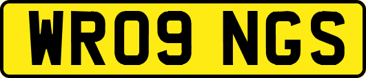 WR09NGS