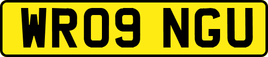 WR09NGU