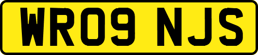 WR09NJS