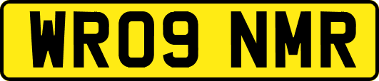 WR09NMR