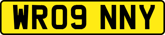 WR09NNY