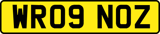 WR09NOZ