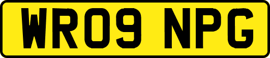 WR09NPG