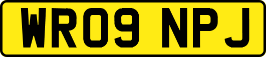 WR09NPJ