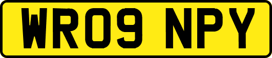 WR09NPY