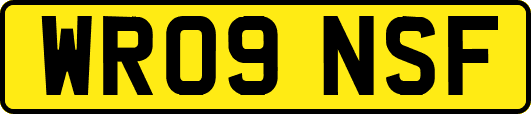 WR09NSF