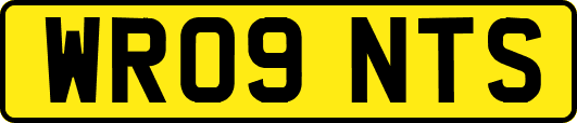 WR09NTS