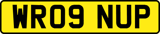 WR09NUP