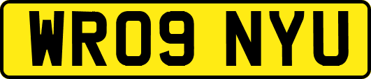 WR09NYU
