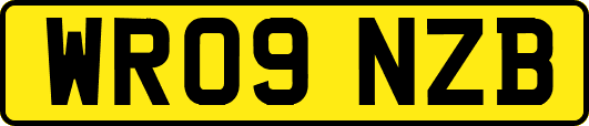WR09NZB