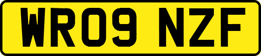 WR09NZF