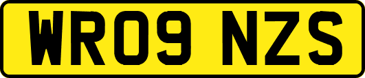 WR09NZS