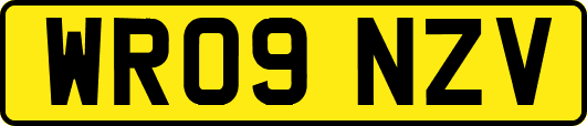 WR09NZV