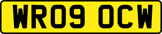 WR09OCW