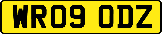 WR09ODZ