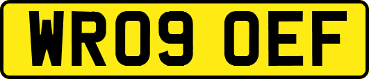 WR09OEF