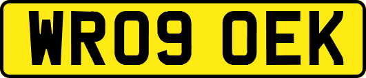 WR09OEK