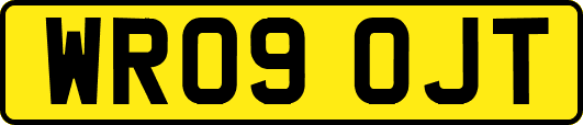 WR09OJT