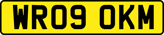 WR09OKM