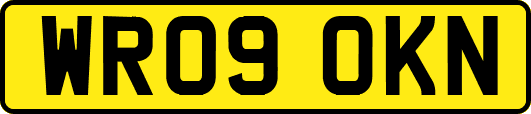WR09OKN