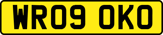 WR09OKO