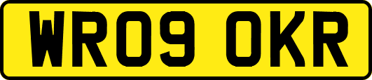 WR09OKR