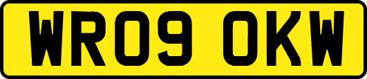 WR09OKW
