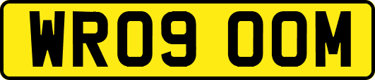 WR09OOM