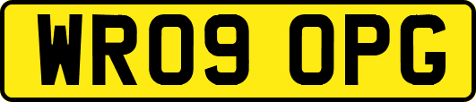 WR09OPG