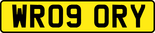 WR09ORY