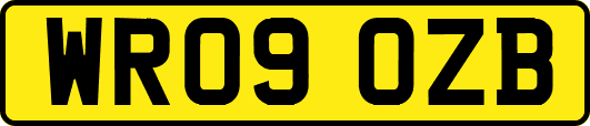WR09OZB