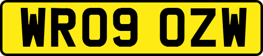 WR09OZW