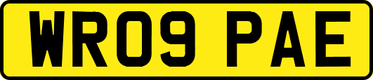 WR09PAE