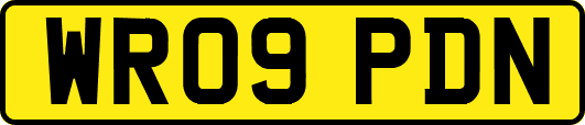 WR09PDN